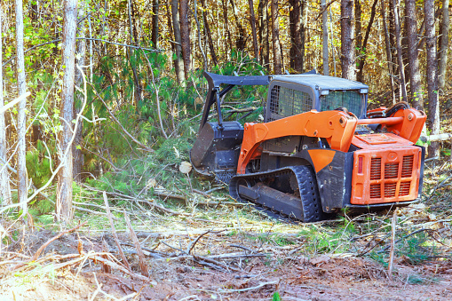 A tracked general purpose forestry mulcher was used by contractor to clean forest