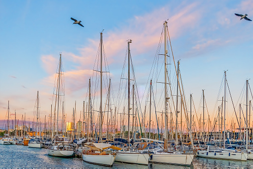 Many yachts in the Port of Barcelona at sunset, Spain. Boats with masts are moored in the bay of the Mediterranean Sea against the background of a pink and blue evening sky