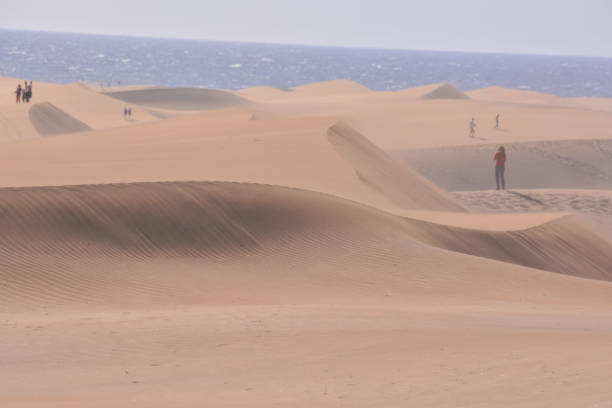 Photo Picture of a Beautiful Dry Desert Landscape in Maspalomas Gran Canaria Canary Islands