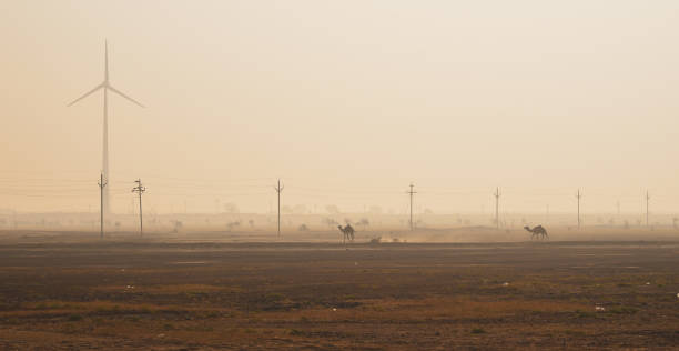 istock Thar Desert at sunset in Rajasthan, India 1799536040