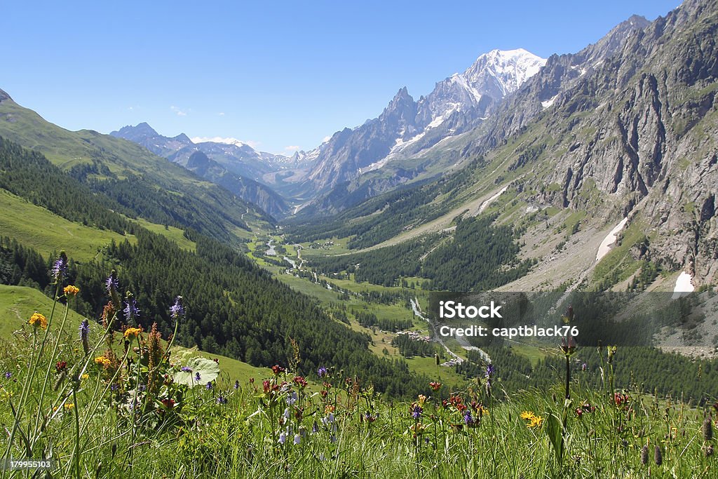 Furetto valle e a Monte Bianco vista panoramica - Foto stock royalty-free di Alpi