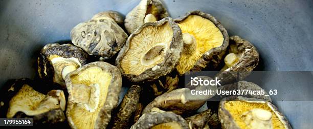 Placa De Cogumelos - Fotografias de stock e mais imagens de Alimentação Saudável - Alimentação Saudável, Castanho, Caule de planta