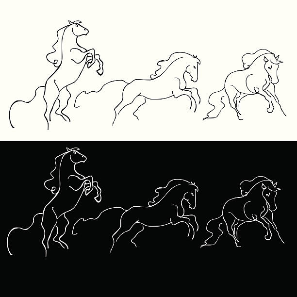 illustrazioni stock, clip art, cartoni animati e icone di tendenza di cavalli a mano libera - horse running vector animals in the wild
