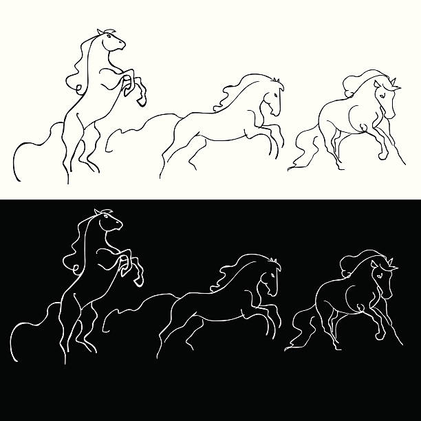 horses hand drawn Hand drawn horses,Editable vector file and easy to change colors. edgy drawings stock illustrations