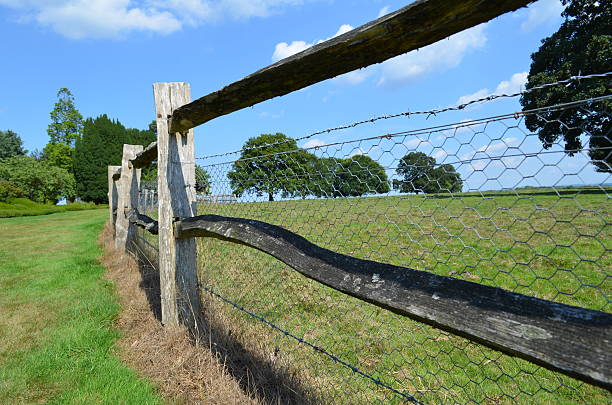 istock Wooden fence along pasture field. 179957346