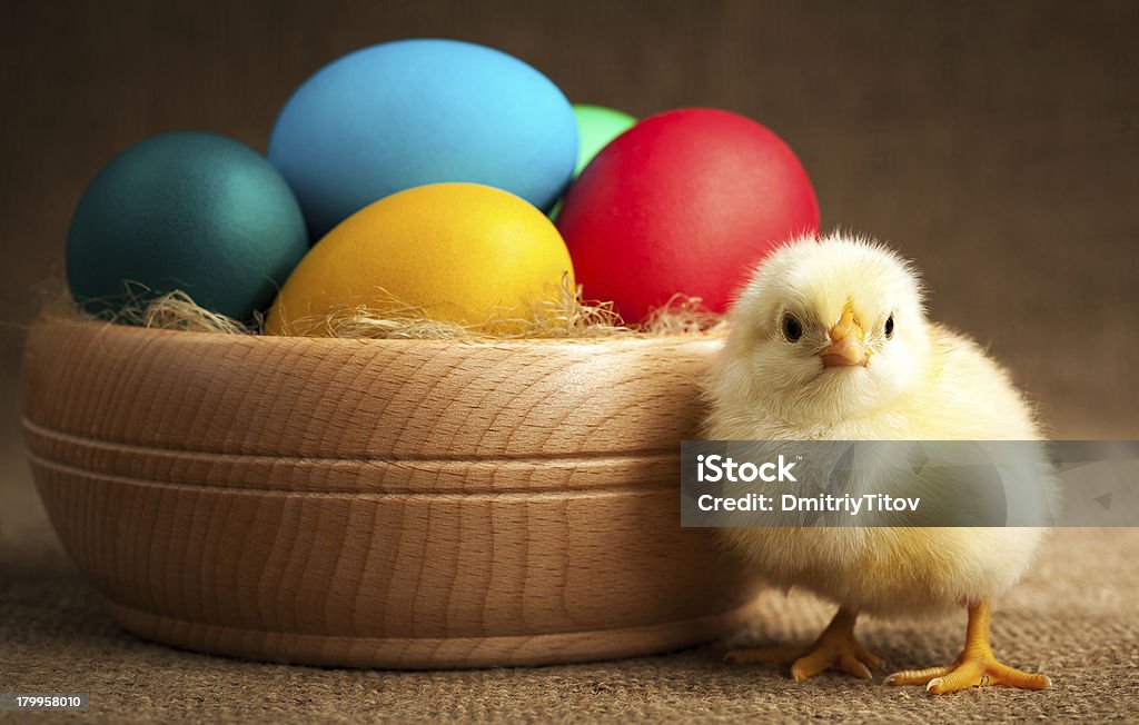 Ładny mały chick z Wielkanoc jaja - Zbiór zdjęć royalty-free (Bez ludzi)