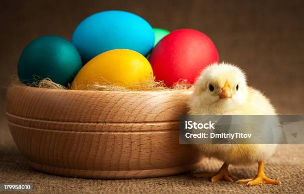 Ładny Mały Chick Z Wielkanoc Jaja - zdjęcia stockowe i więcej obrazów Bez ludzi - Bez ludzi, Drewno - Tworzywo, Fajny