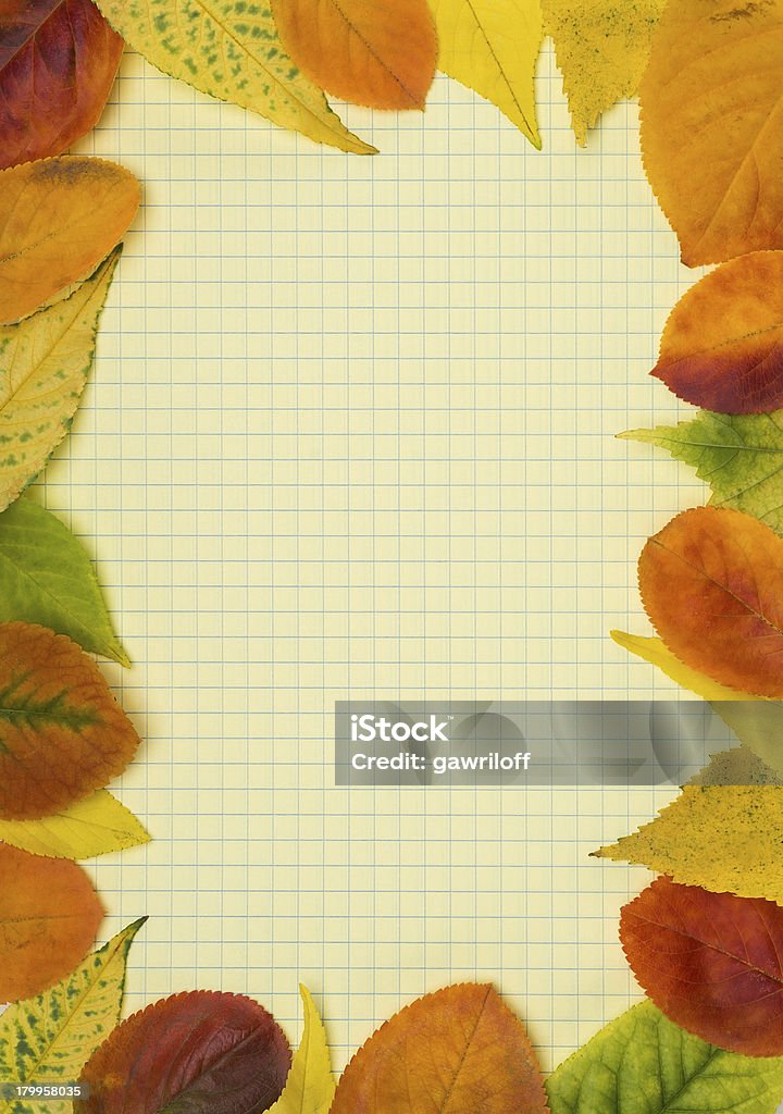 School notebook and frame of autumn leaves Backgrounds Stock Photo