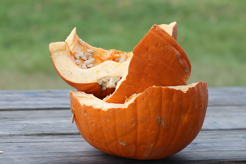 Old rotten pumpkin close-up after Halloween