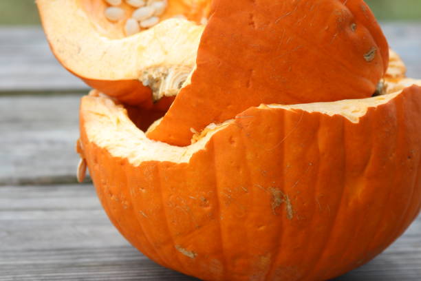 istock Old rotten pumpkin after Halloween 1799587762