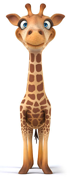 재미있음 기린과 - animal animal neck cute safari animals 뉴스 사진 이미지
