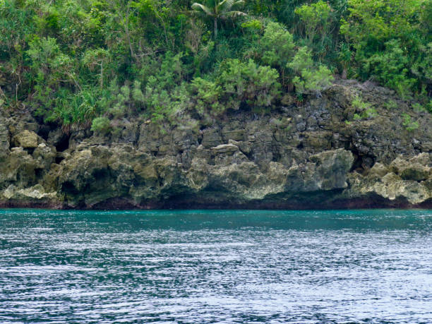 istock Rocky coast of a tropical island. 1799613005