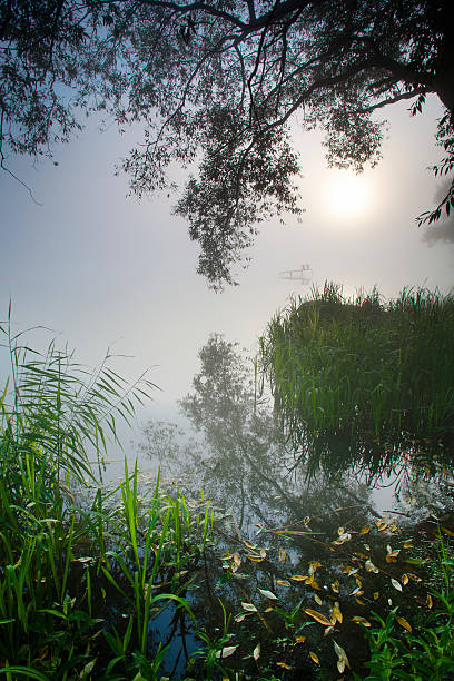 Hazy Sunrise stock photo