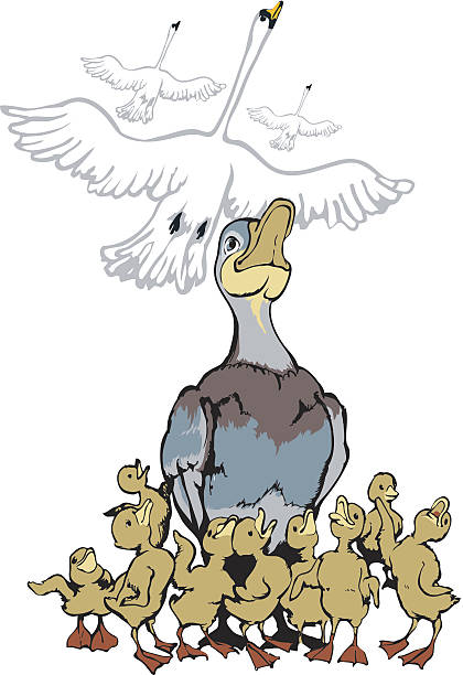 Pato y ducklings mirando a los cisnes - ilustración de arte vectorial