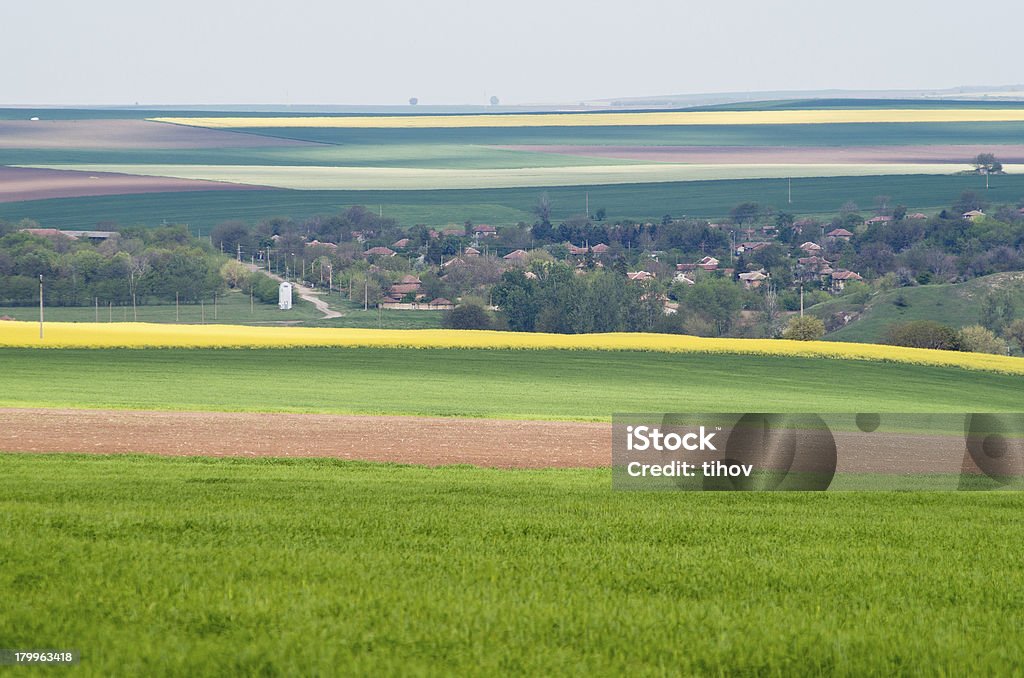 Paysage agricole - Photo de Agriculture libre de droits