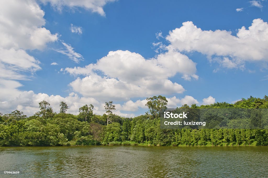 Cumulus chmury nad Jezioro - Zbiór zdjęć royalty-free (Brzeg jeziora)