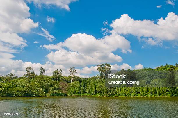 Nuvens Cumulus Sobre Lago - Fotografias de stock e mais imagens de Ao Ar Livre - Ao Ar Livre, Azul, Beira d'Água