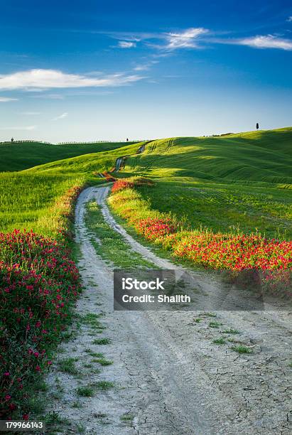 Bela Vista Do País Trilho Ao Pôr Do Sol Em Toscana - Fotografias de stock e mais imagens de Agricultura - Agricultura, Amanhecer, Ao Ar Livre