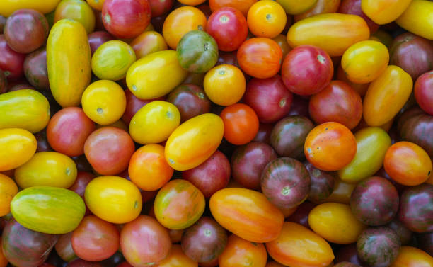 istock fresh juicy cherry tomato as food background 1799678820