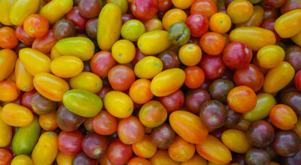 istock fresh juicy cherry tomato as food background 1799680350