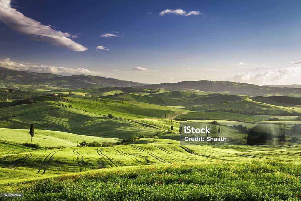 Hermosa vista de la puesta del sol sobre el valle de Toscana - Foto de stock de Agricultura libre de derechos