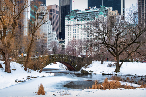 Gapstow Bridge and The Pond in Central Park in New York City during Winter.