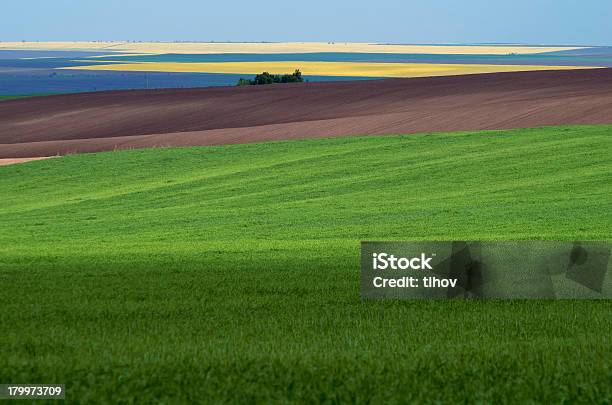 Landscape Agricultural Stock Photo - Download Image Now - Agriculture, Backgrounds, Bright