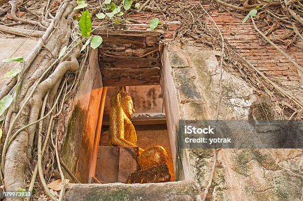 Buddha Estudiado A Través De La Ventana Con Fondo Antiguo Árbol Bodhi Foto de stock y más banco de imágenes de Arenisca