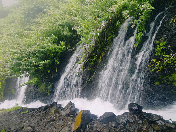 istock Nascent Marcos and Cordero Trail, La Palma 179974968