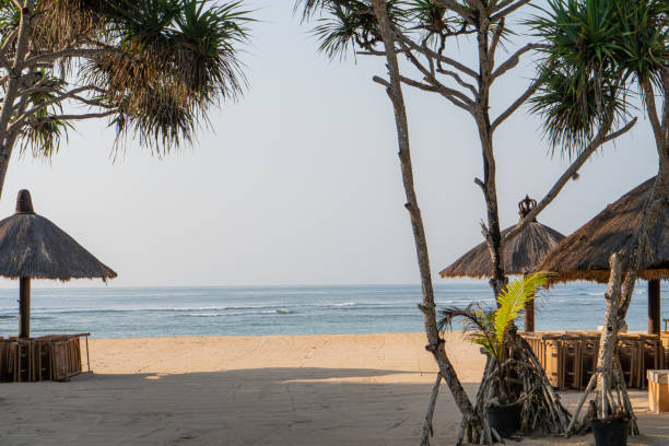 istock Beautiful tropical sunset scenery, two sun beds, loungers, umbrella under palm tree 1799762630