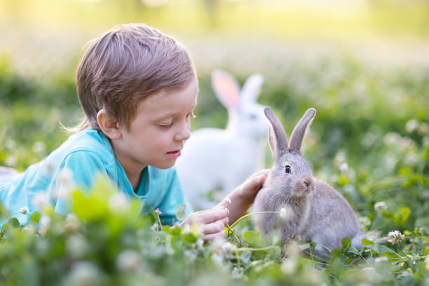 istock a little boy with rabbits in a meadow 1799771359