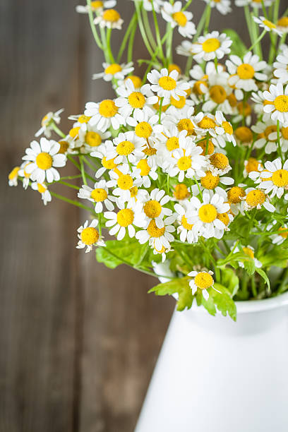 istock Bouquet of daisies. Pyrethrum 179977475
