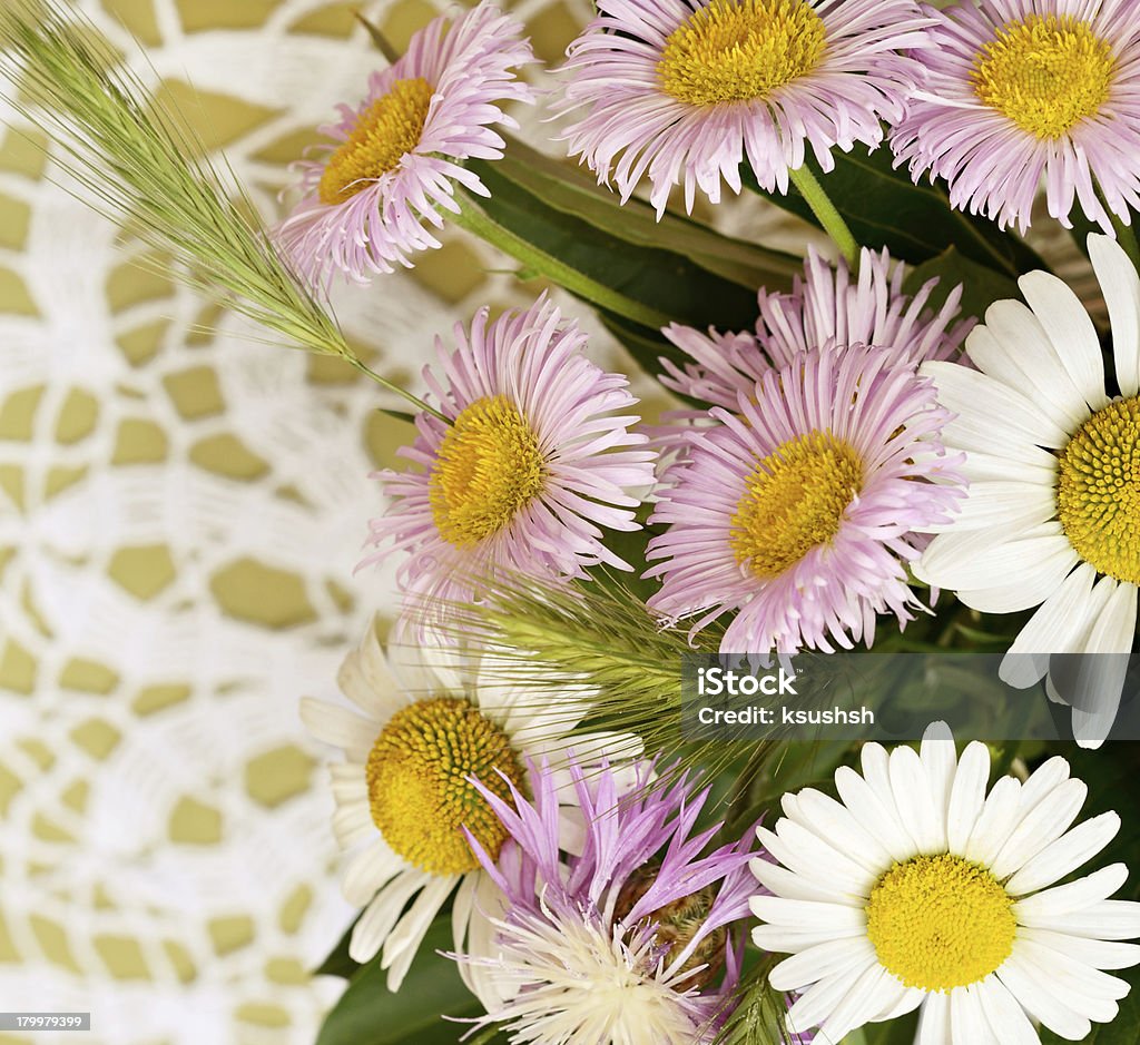 crochet fundo de flores silvestres no verão - Foto de stock de Beleza natural - Natureza royalty-free