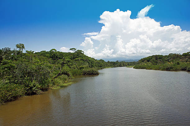 istock impressions from costa rica 179979513
