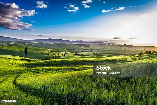 Aumento De Niebla En El Valle Del Sol Toscana Foto de stock y más banco de imágenes de Agricultura - Agricultura, Aire libre, Amanecer