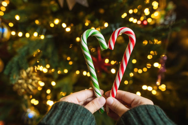 Child's hands with candy canes in heart shape over Christmas tree background