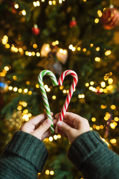 istock Child's hands with candy canes in heart shape over Christmas tree background 1799819314