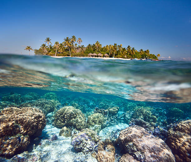 istock Tropical island above and underwater 179983367