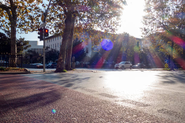 istock Crosswalk in evening light, reverse light. No people. Traffic lamp. Crossroads. 1799840593