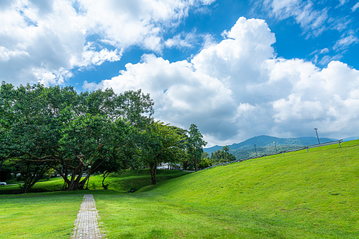 A public place leisure travel wide lawn and big tree landscape at Park to relax with in nature forest Mountain views spring cloudy sky background with white cloud in Chiang Mai University.