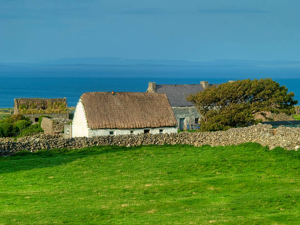 vecchia house - republic of ireland irish culture cottage door foto e immagini stock