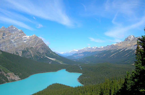 istock Canadian Rockies Bow Summit valley 179986430