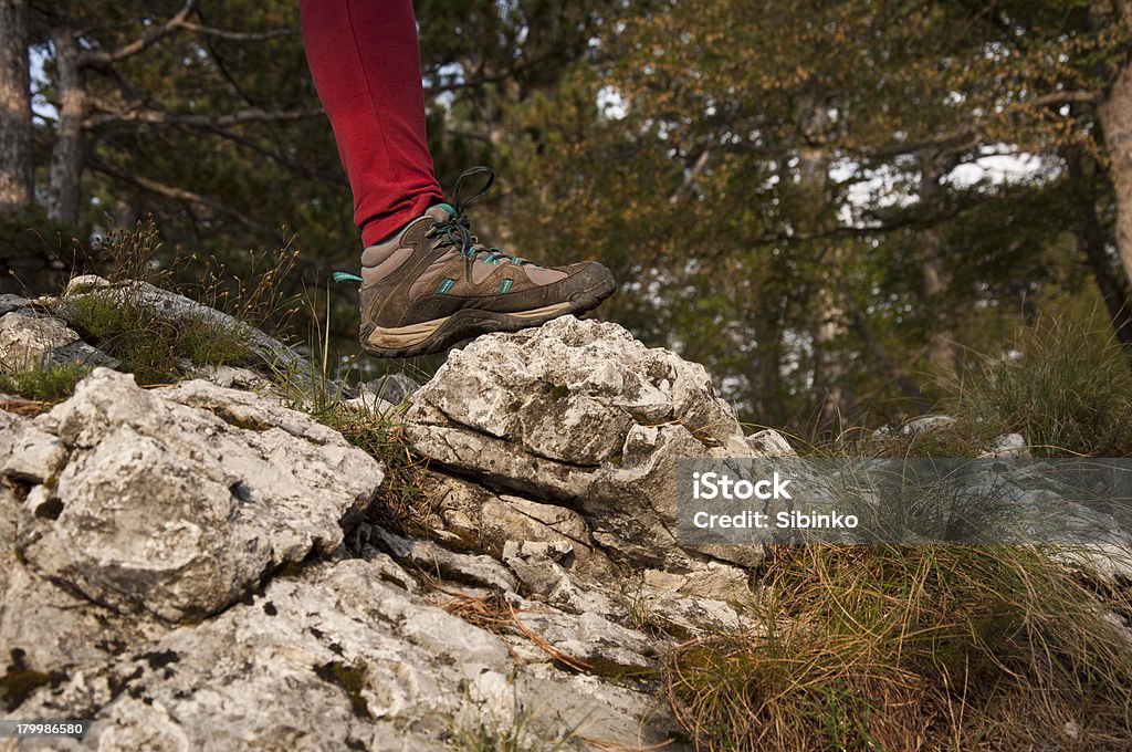 En la naturaleza salvaje - Foto de stock de Actividad al aire libre libre de derechos