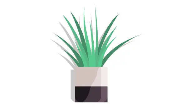 Vector illustration of House and home plant. Vector. The choice home plant in flowerpot can be guided by your overall room decoration gardening theme