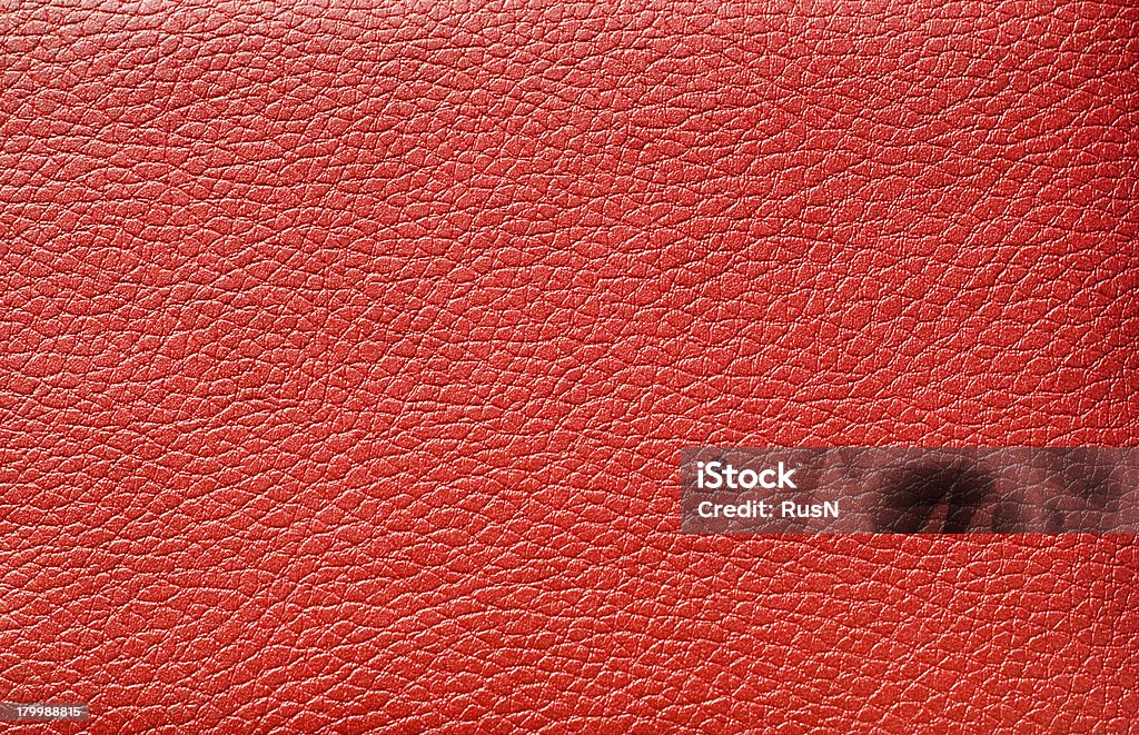 Cuero rojo - Foto de stock de Animal libre de derechos