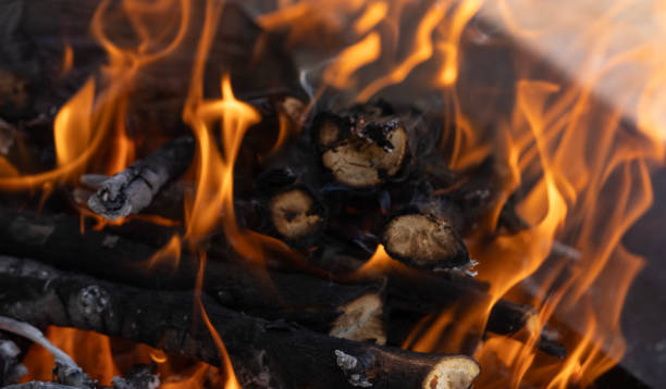 Free Stock Photo of Close-up of a campfire with logs burning intensely ...