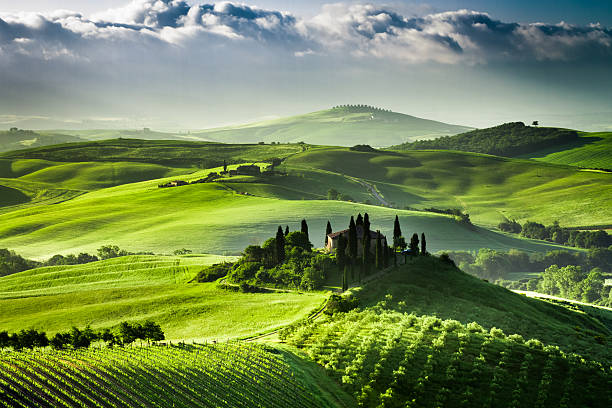 lever du soleil sur la ferme d'oliveraies et de vignobles en toscane - pienza tuscany italy landscape photos et images de collection