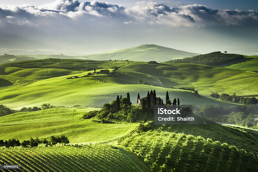 Alba sopra fattoria di uliveti e vigneti in Toscana - Foto stock royalty-free di Toscana - Italia