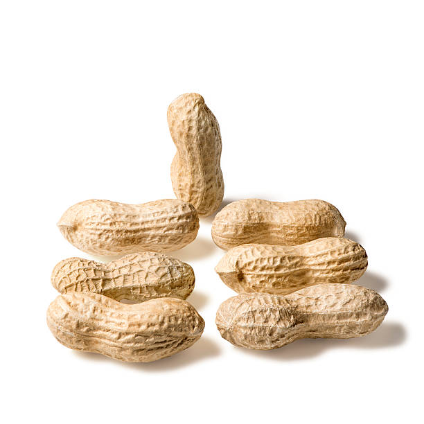 Peanuts stock photo