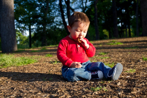 A young kid, toddler, eating a chocolate cookie and sitting down on the dirt in a park.